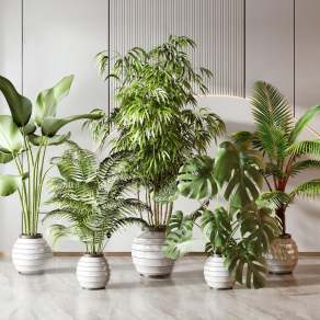 现代植物盆栽3D模型下载